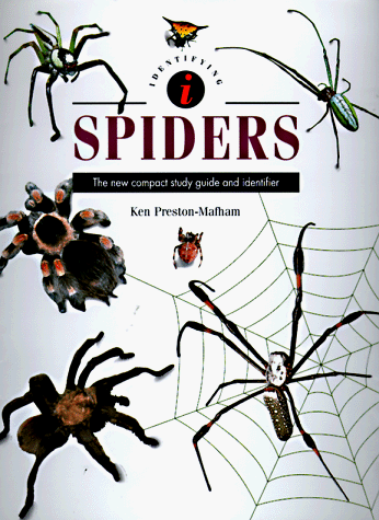 Cover of Identifying Spiders
