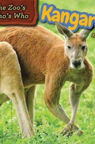 Cover of Kangaroos