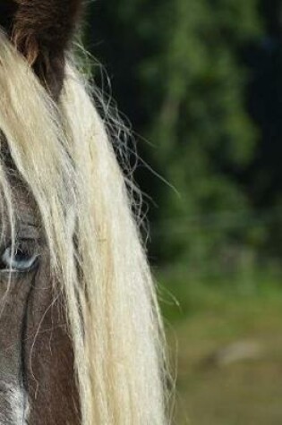 Cover of Gypsy Horse Breed Notebook