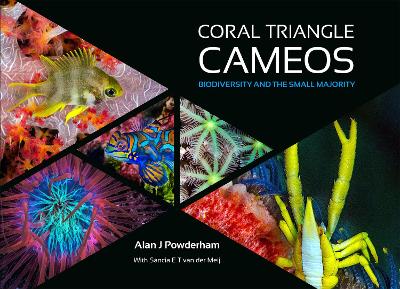 Book cover for Coral Triangle Cameos