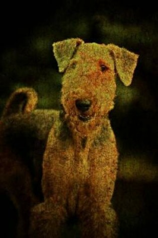 Cover of Airedale Terrier