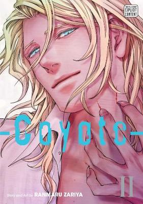 Book cover for Coyote, Vol. 2