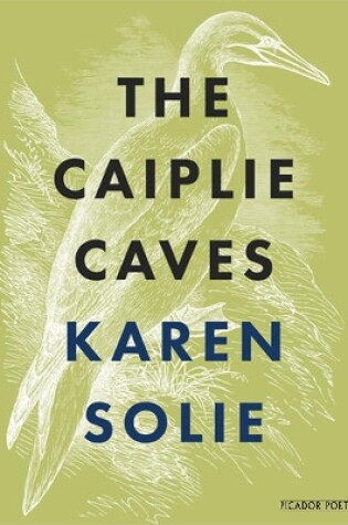 Cover of The Caiplie Caves