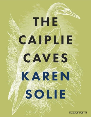 Book cover for The Caiplie Caves