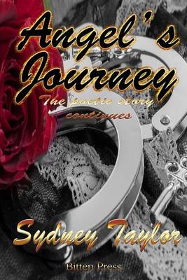 Book cover for Angel's Journey