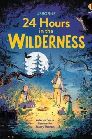 Cover of 24 Hours in the Wilderness