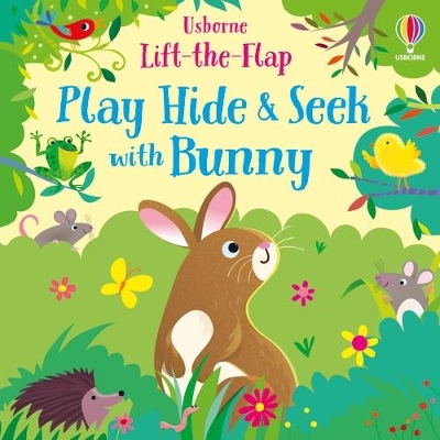 Book cover for Play Hide and Seek with Bunny