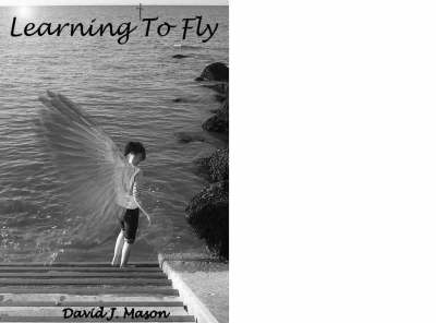 Book cover for Learning to Fly