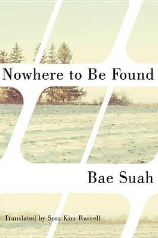 Cover of Nowhere to Be Found