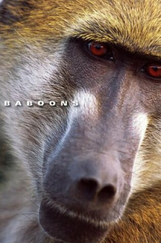 Cover of Baboons