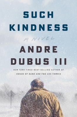 Book cover for Such Kindness