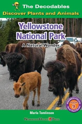 Cover of Yellowstone National Park: A Natural Wonder