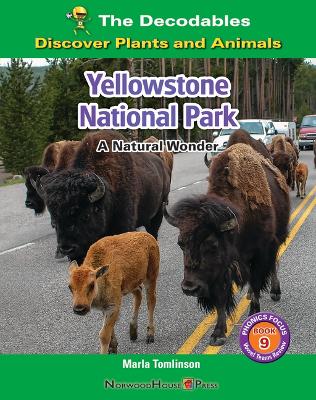 Book cover for Yellowstone National Park: A Natural Wonder