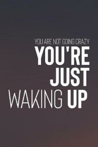 Cover of You Are Not Going Crazy You Re Just Waking Up