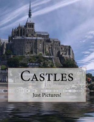 Book cover for Castles