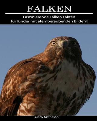 Book cover for Falken