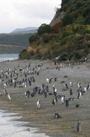 Cover of Penguins on an Island in Argentina