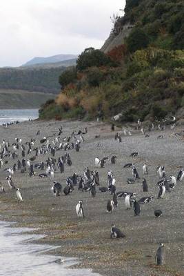 Book cover for Penguins on an Island in Argentina