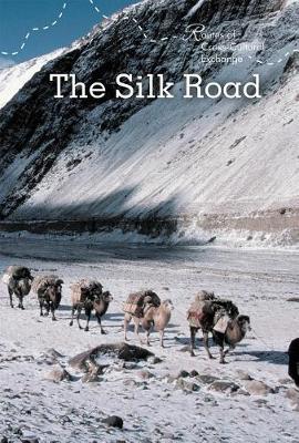 Book cover for The Silk Road