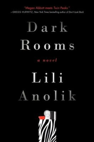 Cover of Dark Rooms