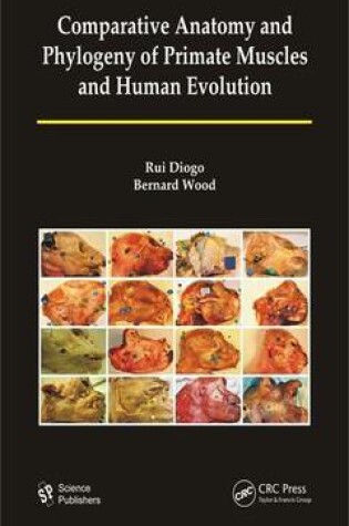Cover of Comparative Anatomy and Phylogeny of Primate Muscles and Human Evolution