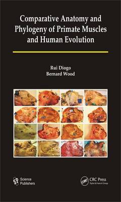 Book cover for Comparative Anatomy and Phylogeny of Primate Muscles and Human Evolution