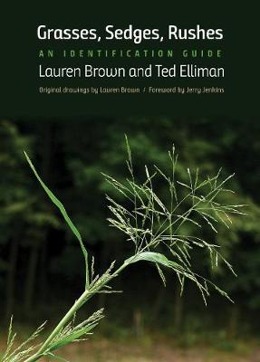 Book cover for Grasses, Sedges, Rushes