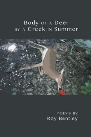 Cover of Body of a Deer by a Creek in Summer