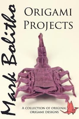 Book cover for Origami Projects