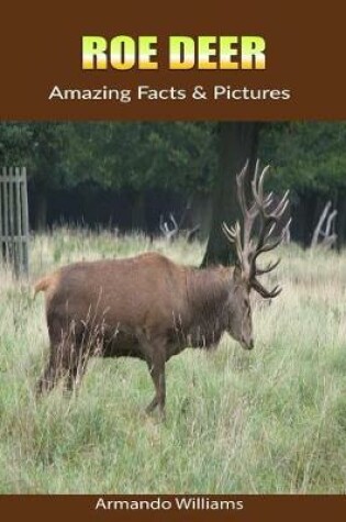 Cover of Roe Deer