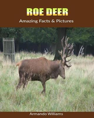 Book cover for Roe Deer