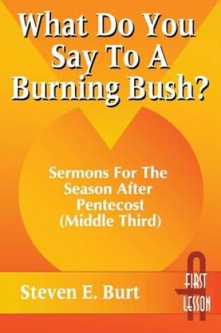 Cover of What Do You Say to a Burning Bush?