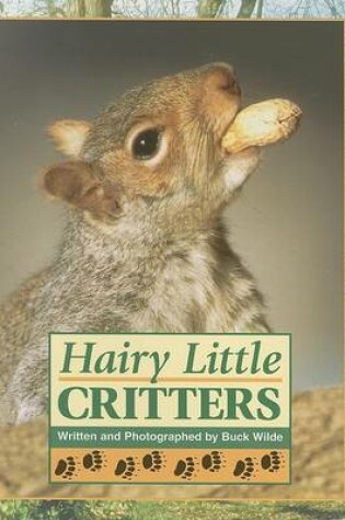 Cover of Hairy Little Critters (Rap Sml Bk USA)