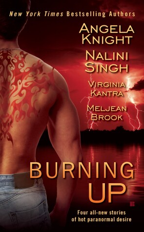 Burning Up by Meljean Brook, Virginia Kantra, Angela Knight
