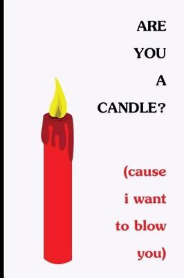 Book cover for Are You A candle? Cause I Want To Blow You