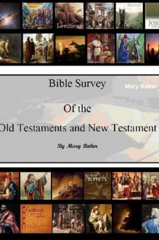 Cover of Bible Survey of the Old and New Testament