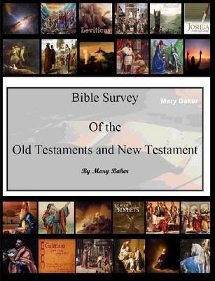 Book cover for Bible Survey of the Old and New Testament