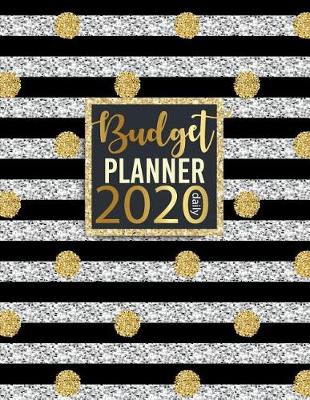 Book cover for Budget Planner Daily 2020