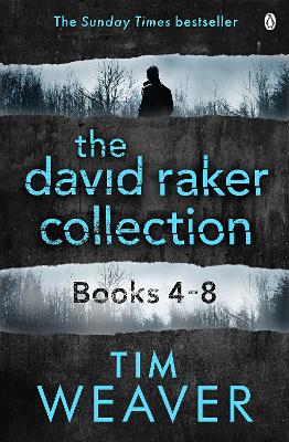 Book cover for The David Raker Collection Books 4-8