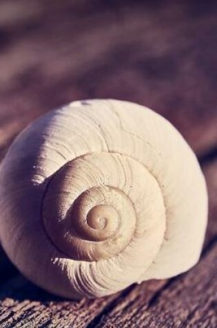 Cover of A Spiral Snail Shell Journal