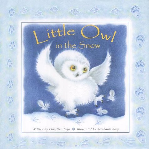 Book cover for Little Owl in the Snow