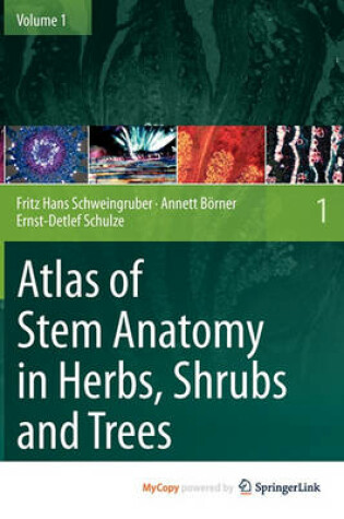 Cover of Atlas of Stem Anatomy in Herbs, Shrubs and Trees, Volume 1