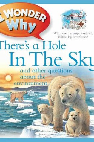 Cover of I Wonder Why There's a Hole in the Sky