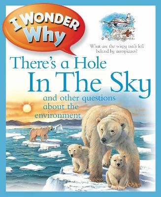 Cover of I Wonder Why There's a Hole in the Sky