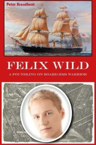 Cover of Felix Wild