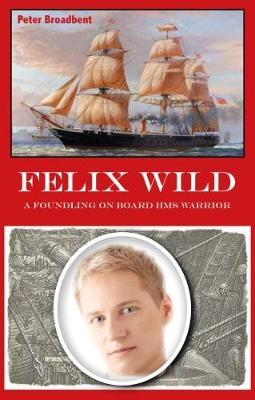 Book cover for Felix Wild