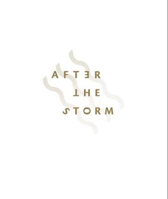 Book cover for After the Storm