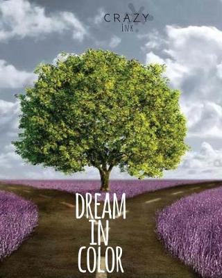 Cover of Dream in Color Journal