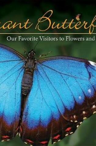 Cover of Vibrant Butterflies