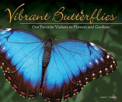 Cover of Vibrant Butterflies